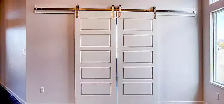 Glass Barn Door with Installation Hardware Kit Gardena