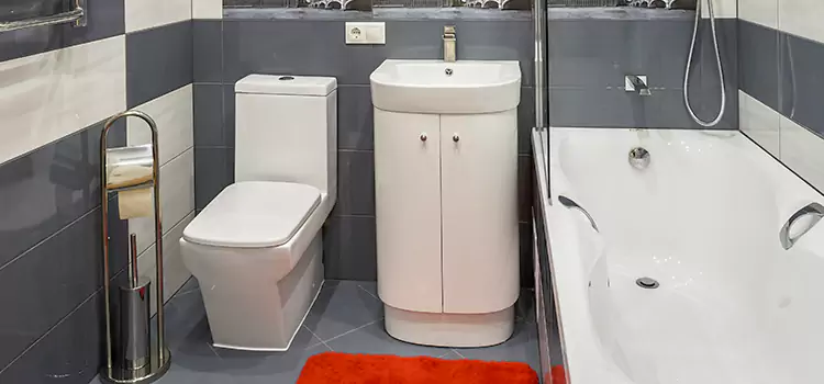 Hansgrohe Shaving Mirror Gardena
